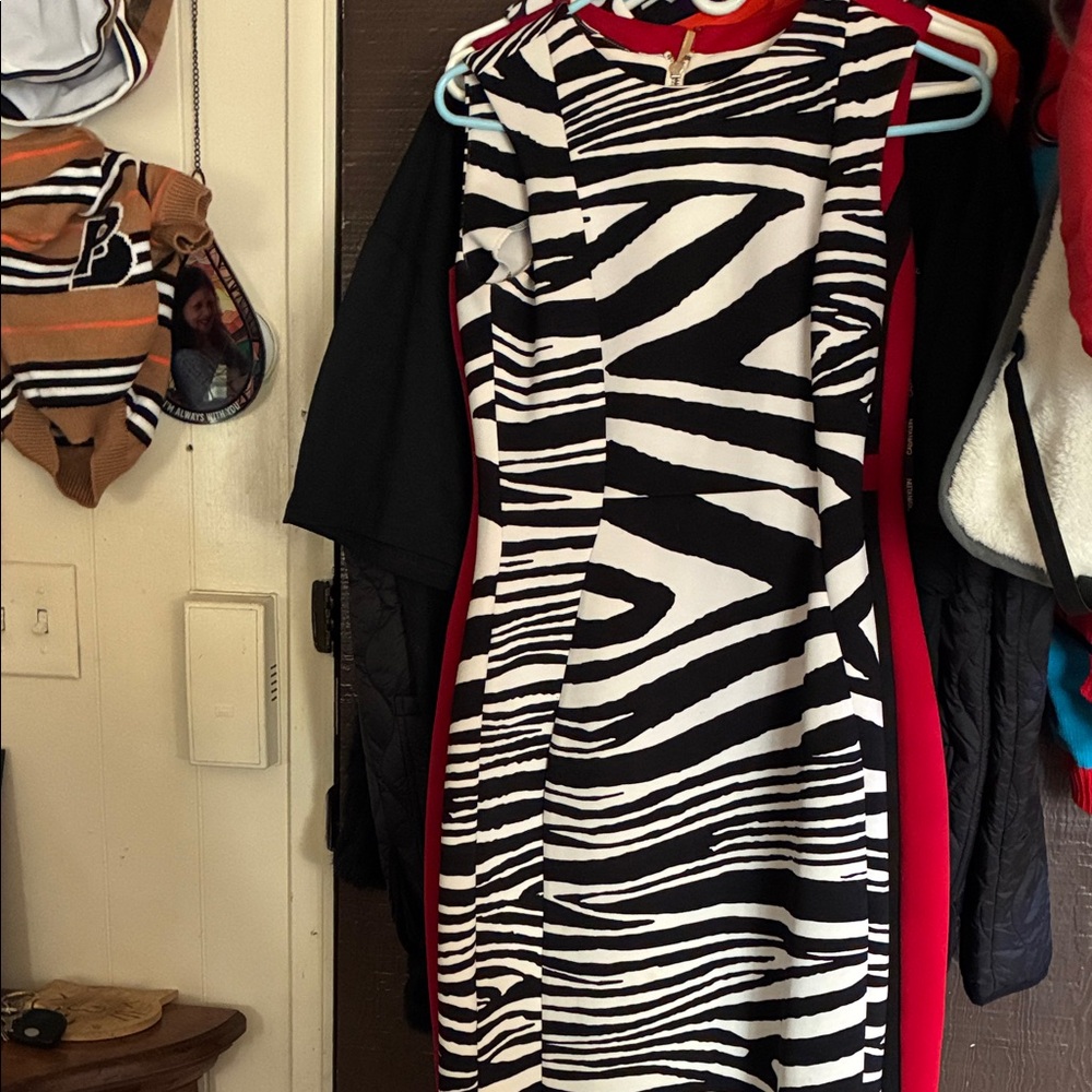 Calvin Klein Black and White Zebra Print Dress with Red Accents